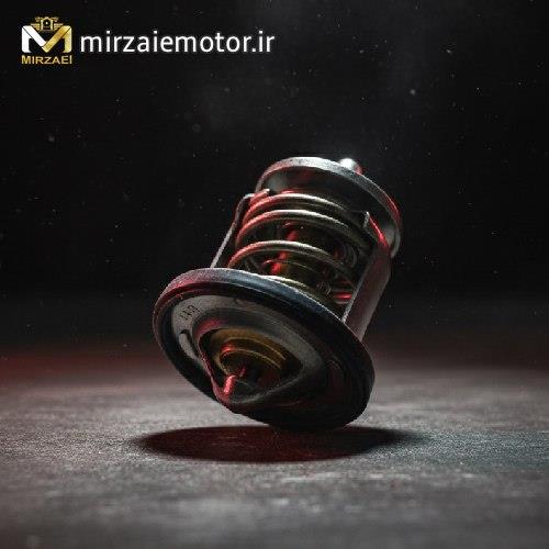 ترموستات ns۲۰۰ اصلی 